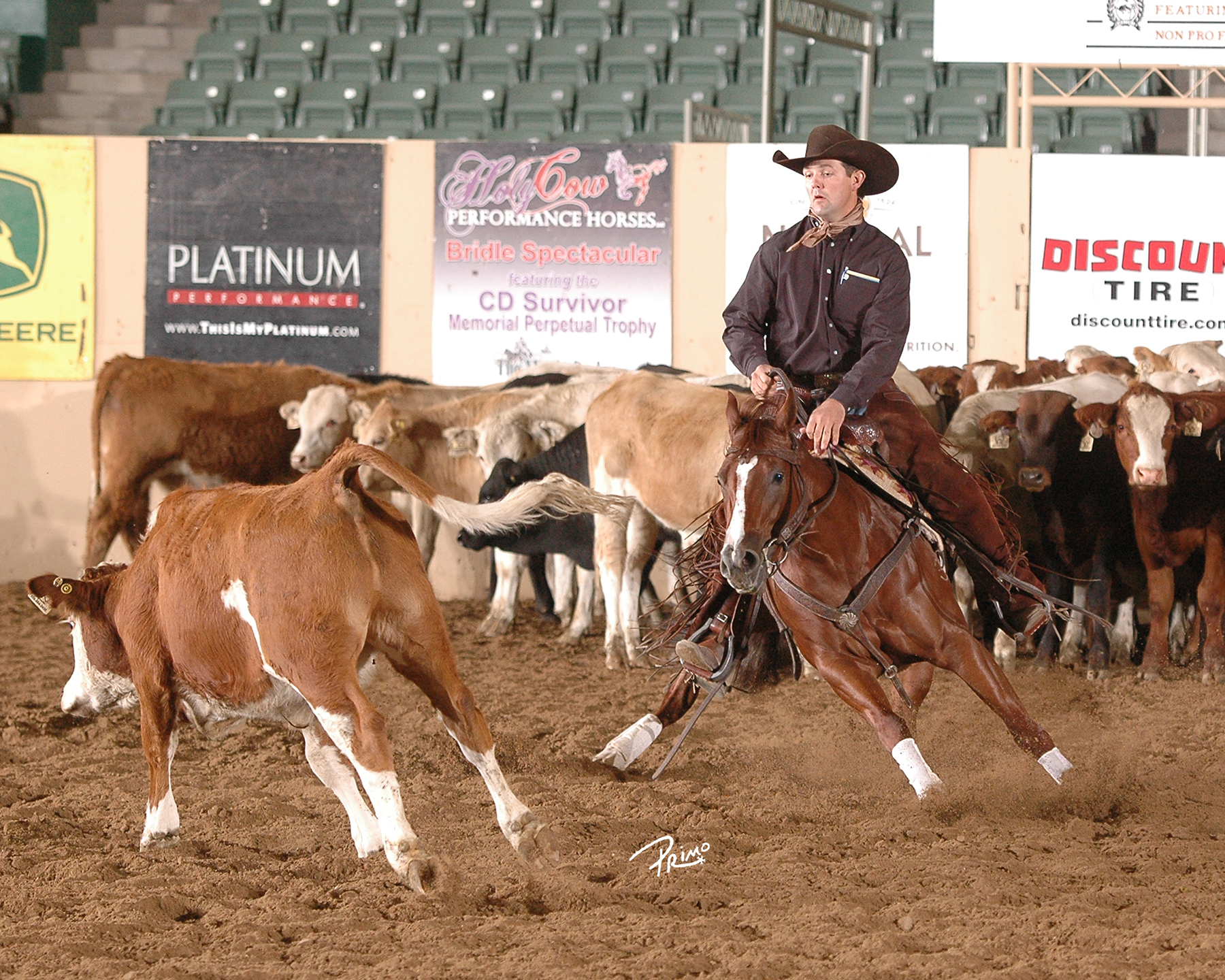 Shiney Nu Annie & Chris Dawson Top NRCHA Aaron Ranch Derby Open