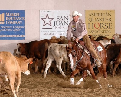 Derby Intermediate Open Champion: Cats Smart Oak, shown by Mark Luis