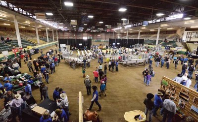 Legends of Ranching Performance Horse Sale