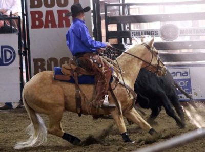 Zoetis AQHA Ranching Heritage Challenge