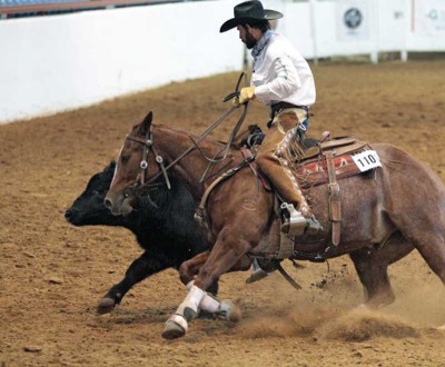 Making Cow Horses March 2015