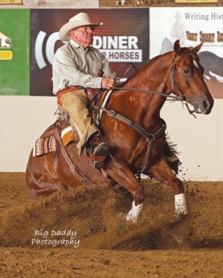 No Foolish Cat wins Reserve Champion in the NSHA Derby Non-Pro