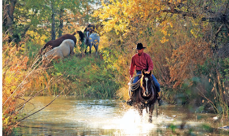 American Quarter Horse Trail Ride 2011 at Wagonhound Land and Livestock!