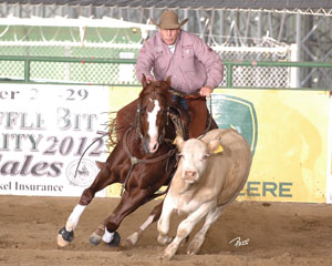 Sinful Cat - 2012 NRCHA Open Derby Champion