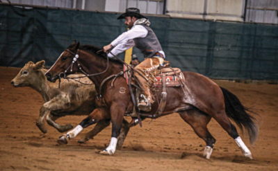 Matt Koch Rides SDP Blue Blood to Stakes Intermediate Open Championship