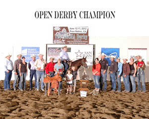 Sinful Cat NRCHA Open Derby Champion Award Photo