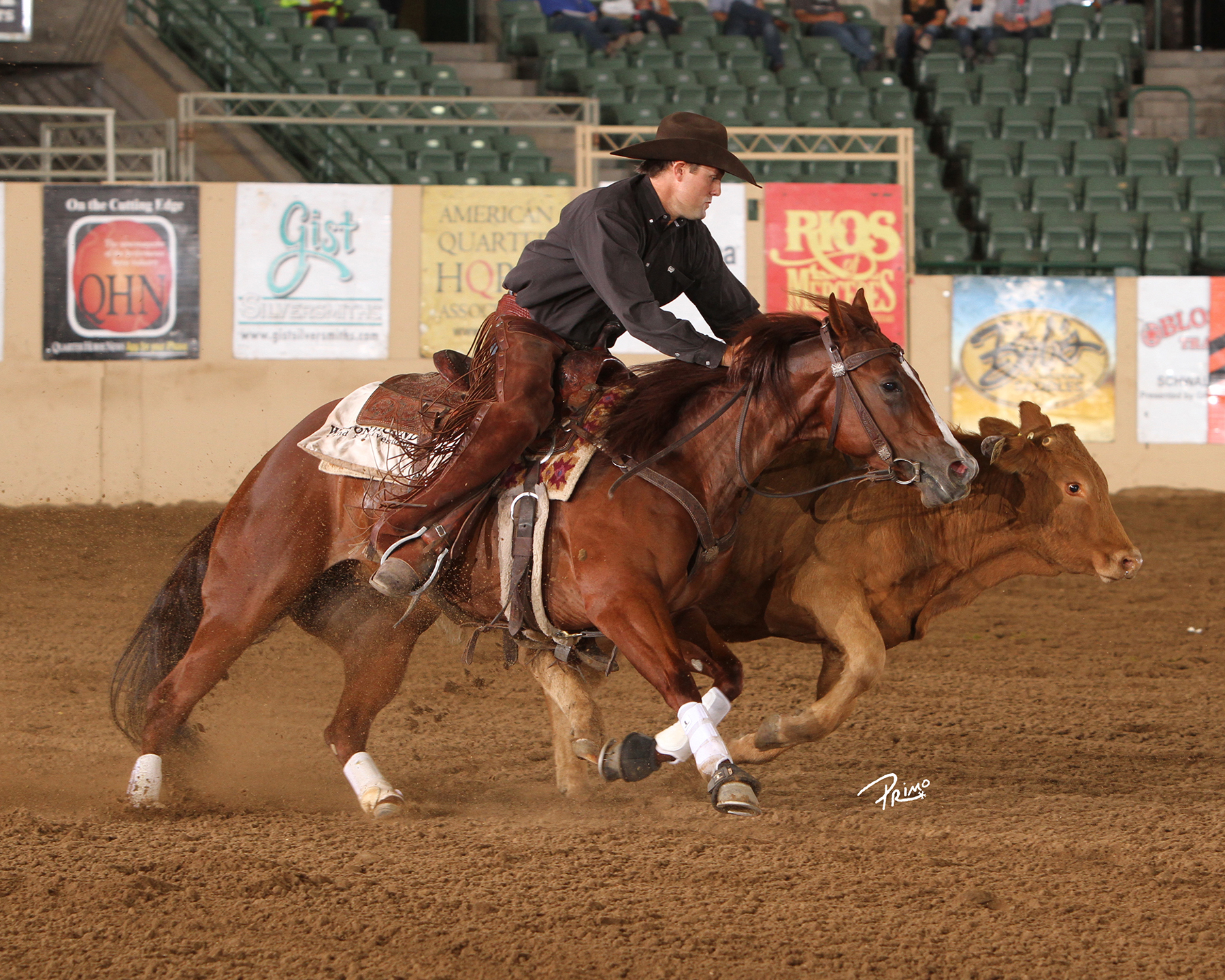 Shiney Nu Annie NRCHA Snaffle Bit Open Futurity Reserve Champion