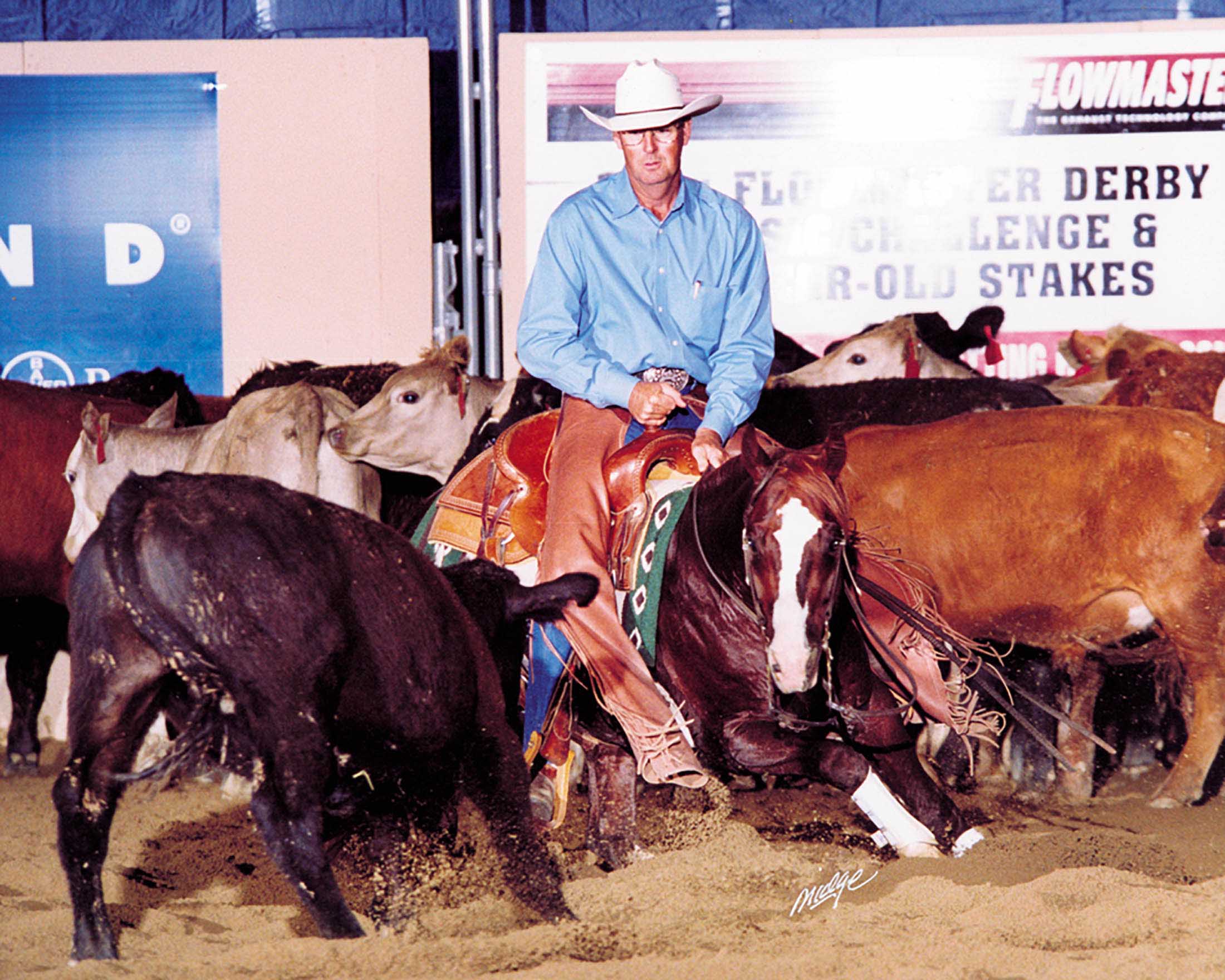 Fenimore & Misplaced Cat Win NCHA Futurity Amateur Championship With Large Late Score