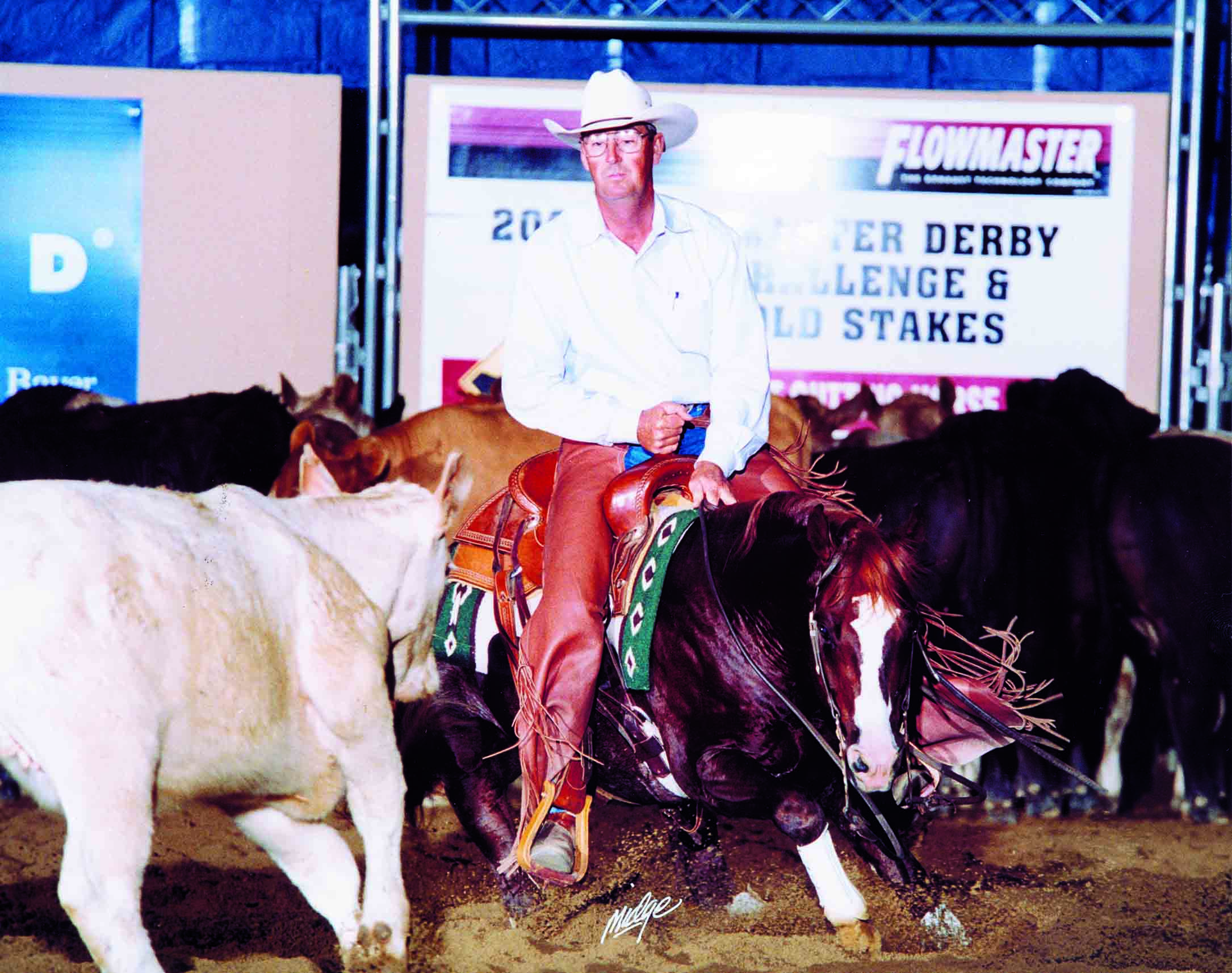 Two NRCHA Horse Show Class Champions Crowned were sired by WR This Cats Smart