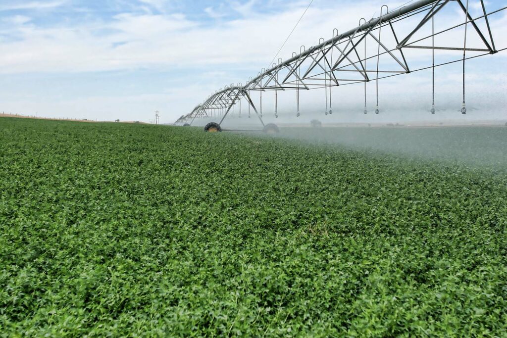 Alfalfa Farming Wyoming