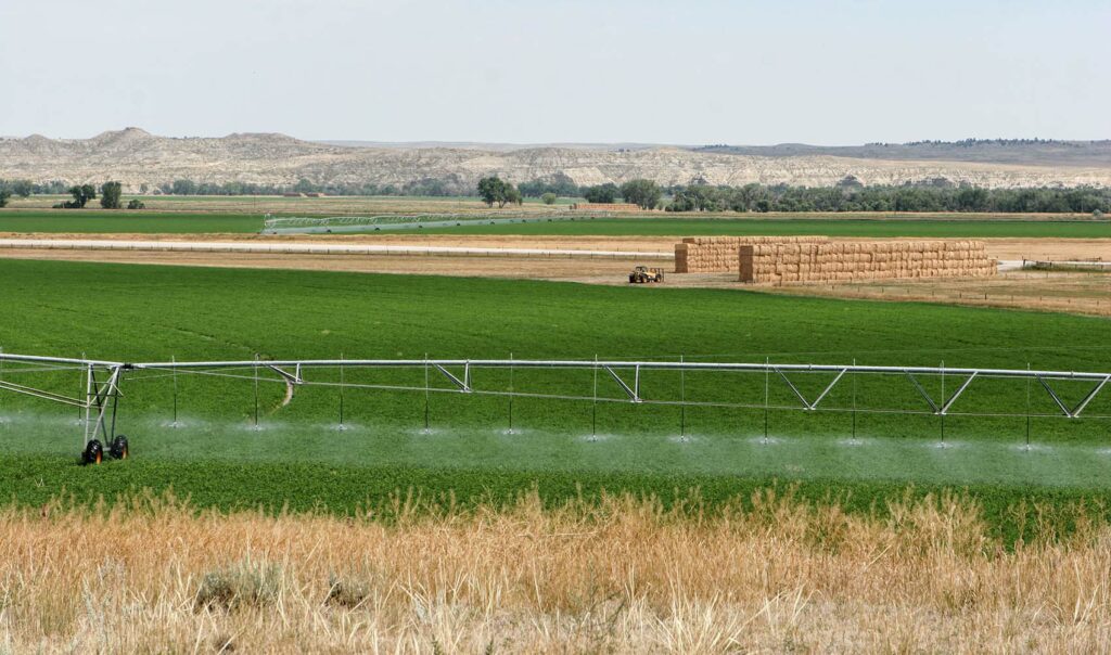 Wagonhound Farm, Douglas, WY