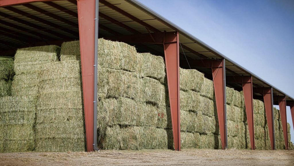 Hay Bales Douglas, WY