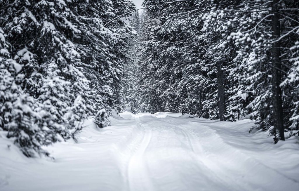 Wyoming Snowfall Landscape