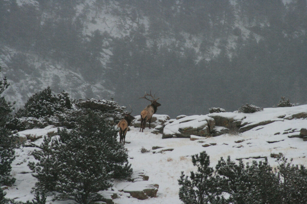 Elk Mountain Range