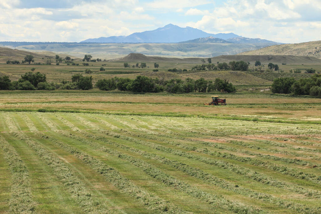 Farm Landscape Wyoming