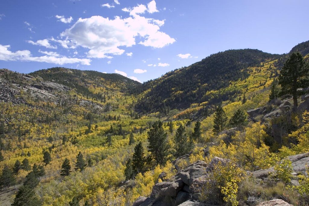 Haypress Fall CoOlor Wyoming