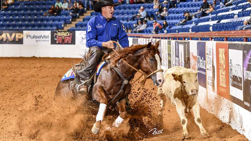 Lance Johnston Barn Sweeps to Giant Payday in Open Hackamore Classes