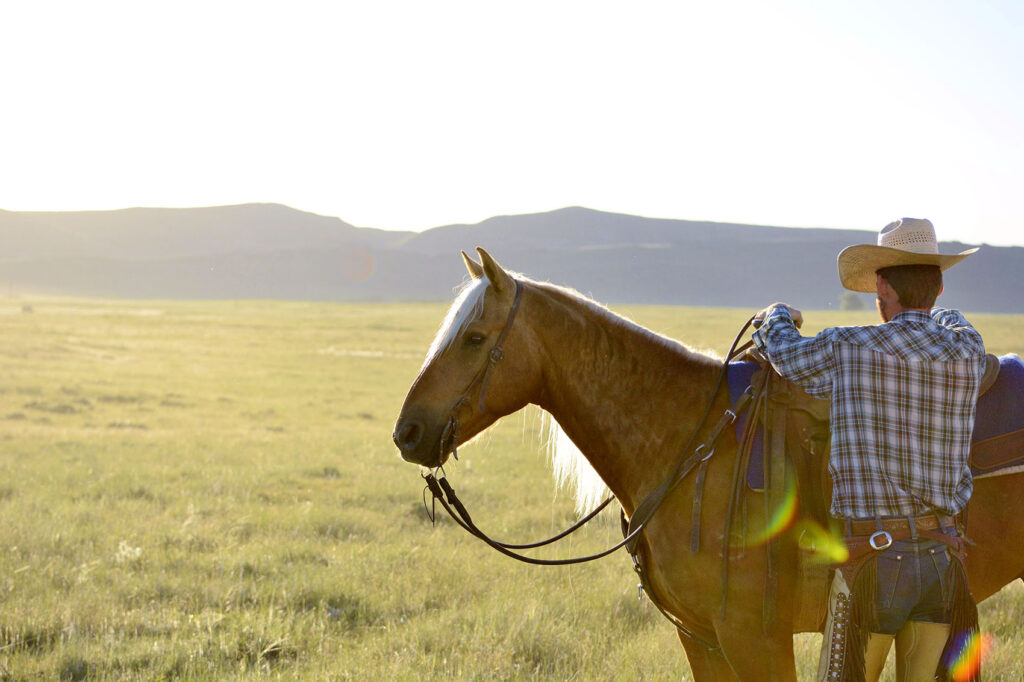 Riding Horse in Wyoming