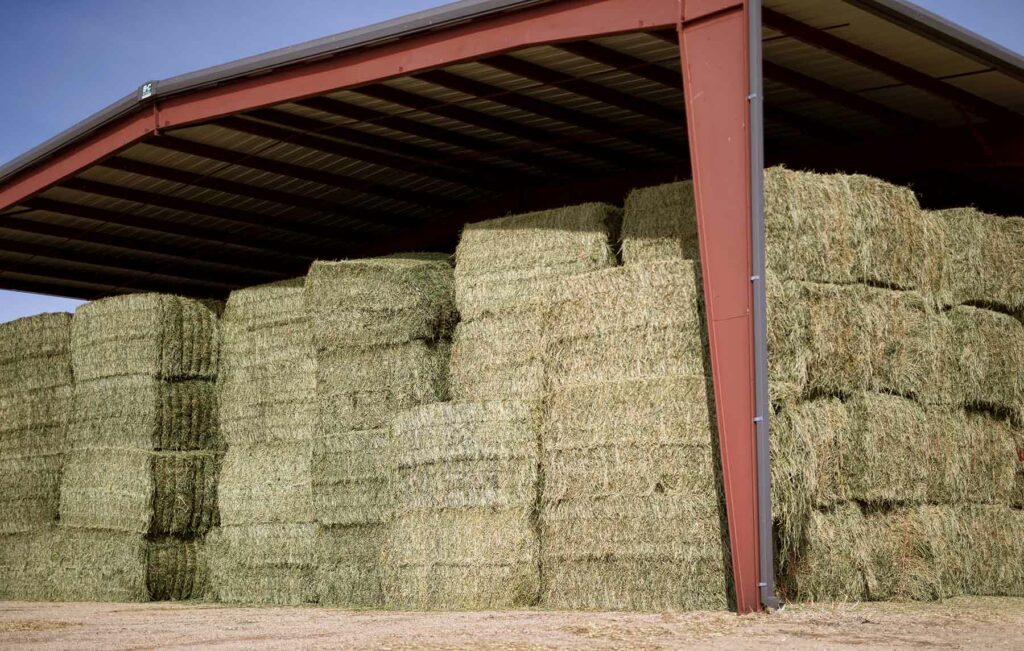 Hay Bales