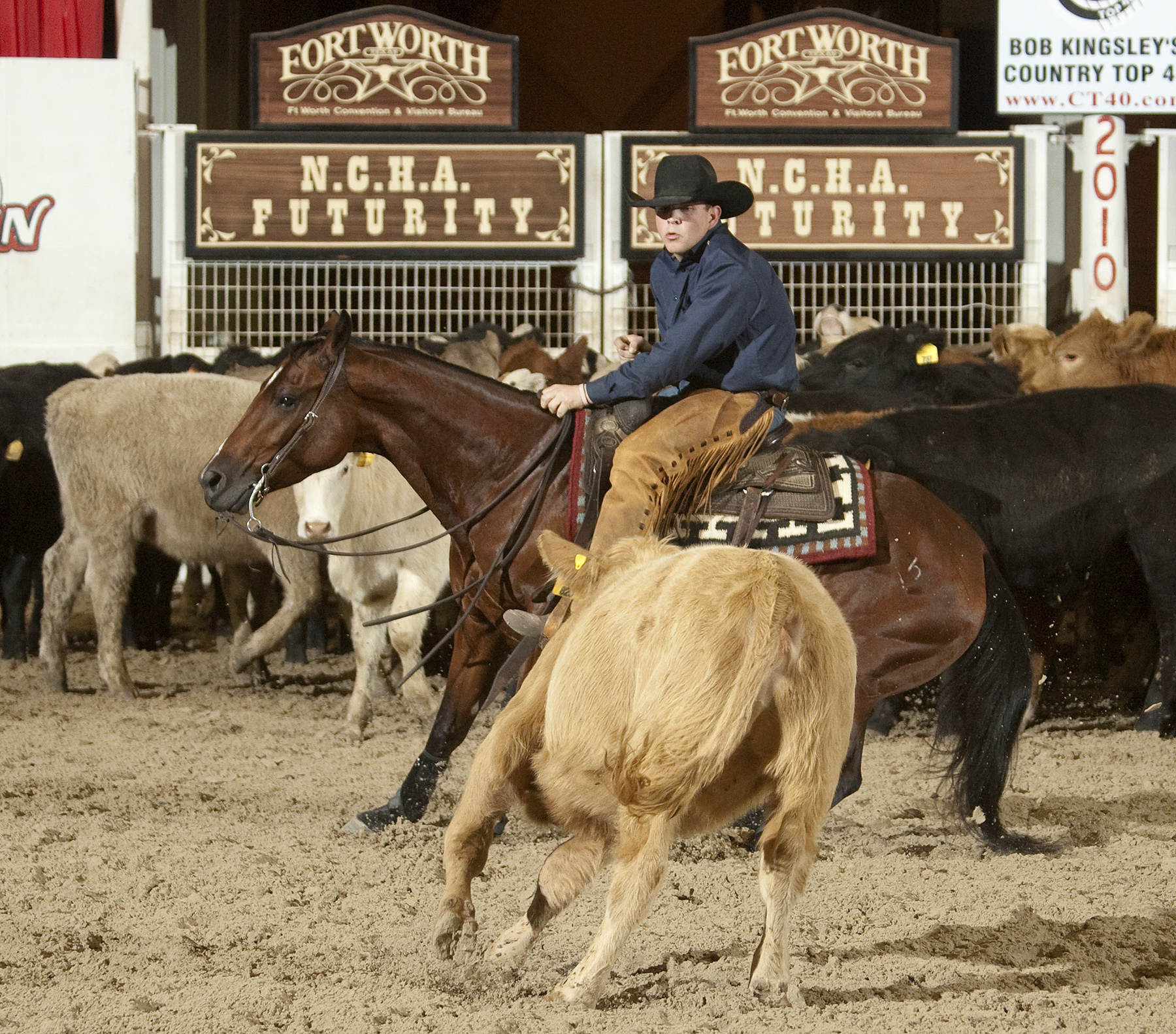 Cody Hedlund/Teles Bout This Cat Win Super Stakes Non-Pro