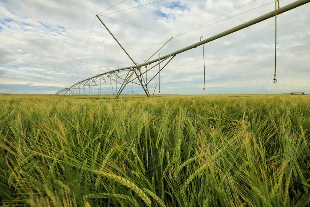 Irrigated Farming WY