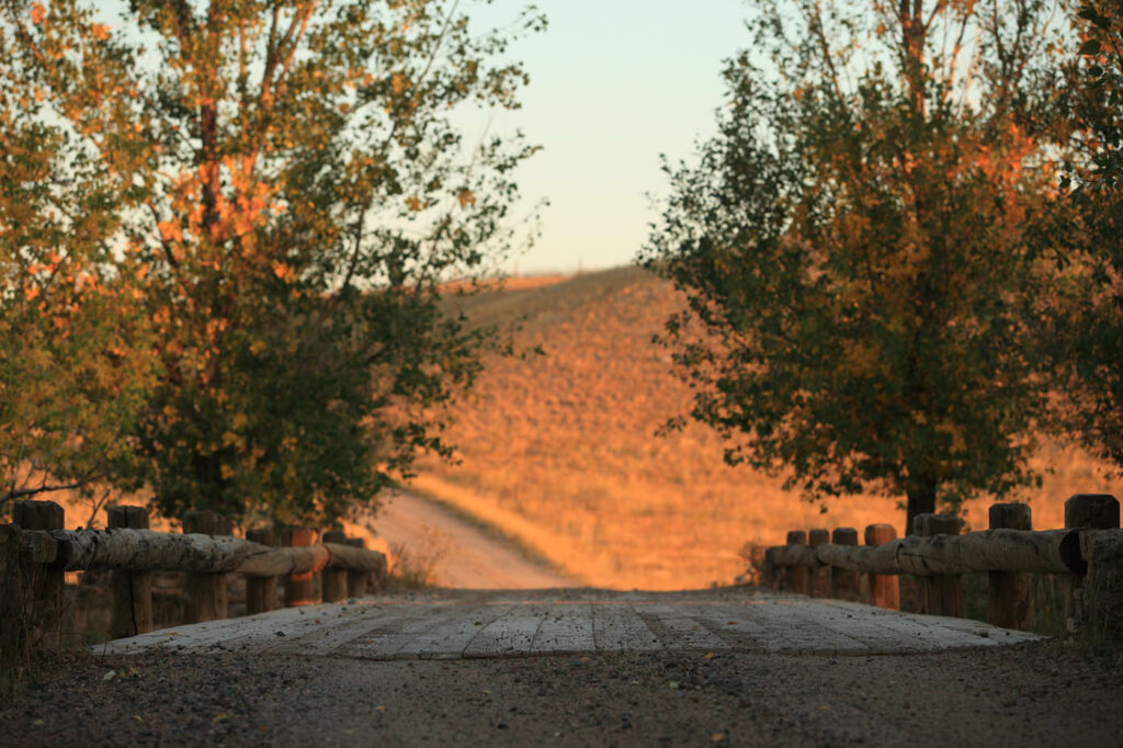 Wagonhound Ranch Bridge