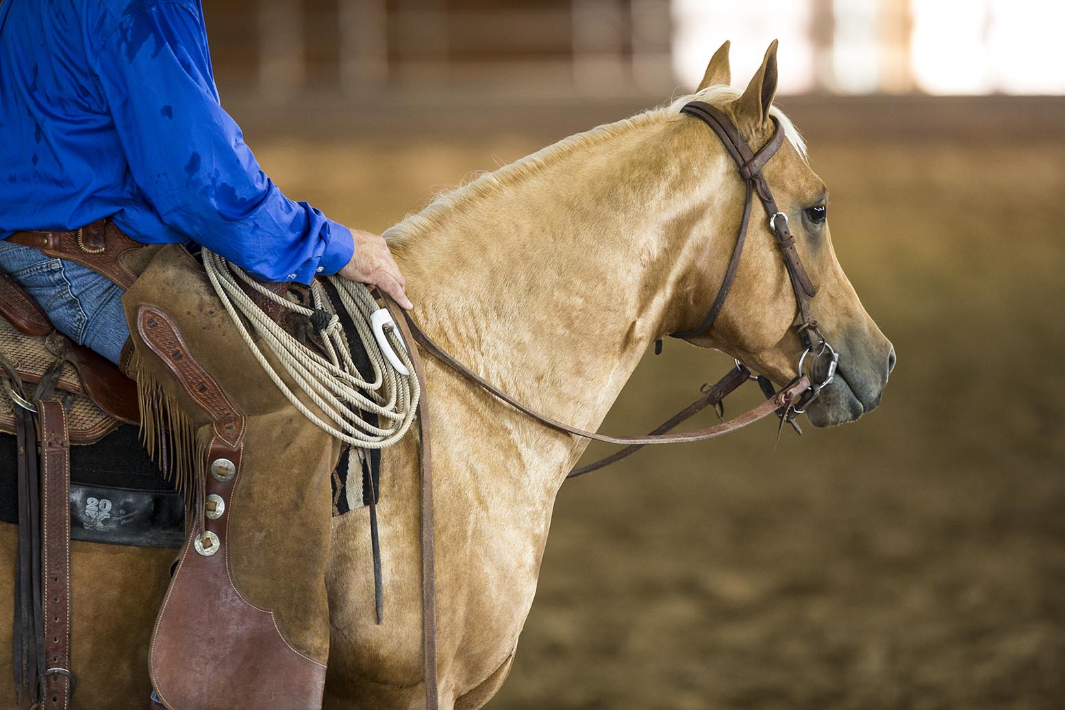 2019 AQHA Highest Money-Earning Ranching Heritage Breeder