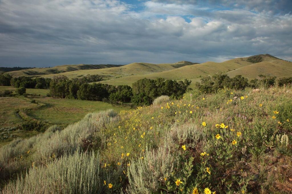 Wyoming Landscape Photo