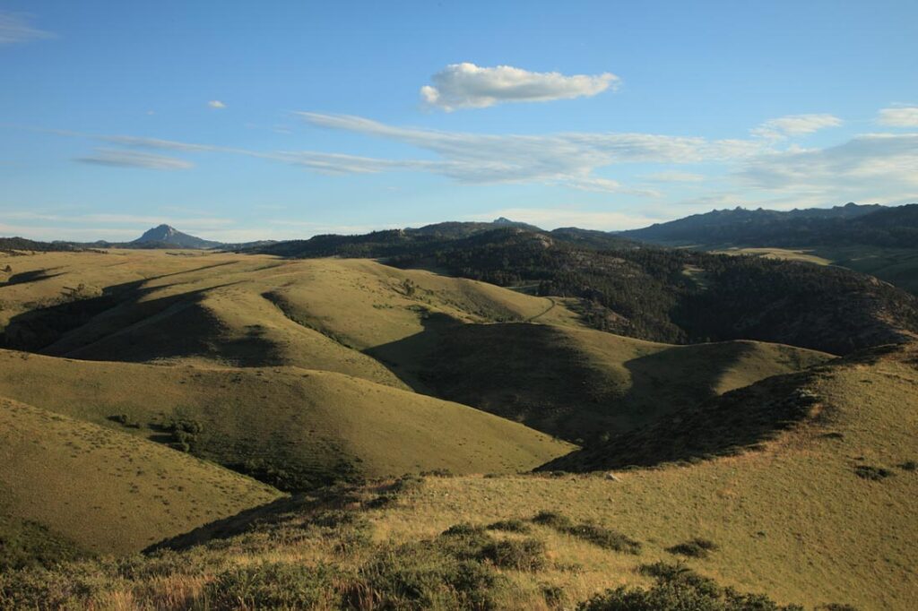 Wagonhound Ranch Mountain View