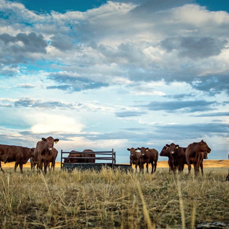 Wagonhound Ranch Wyoming