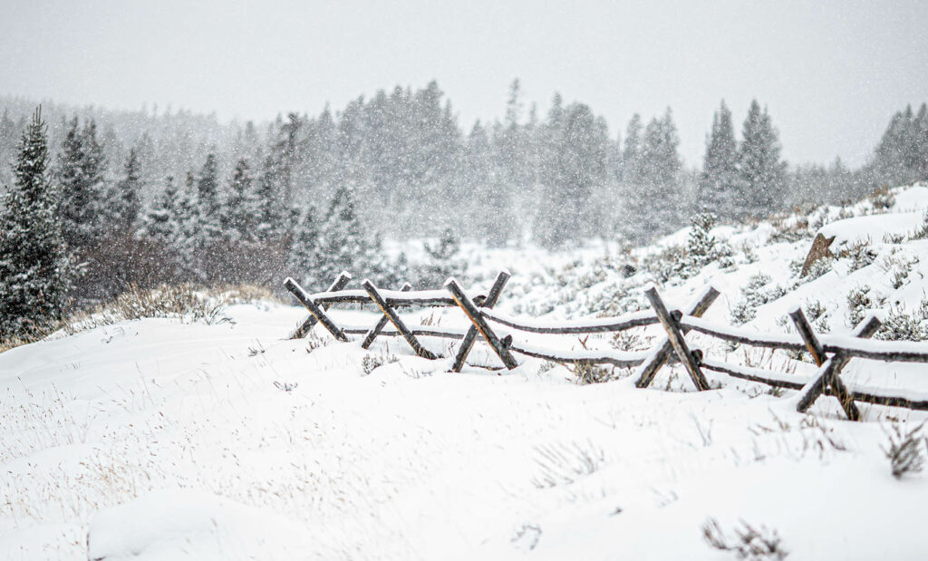 Wyoming Landscape Winter Snowfall
